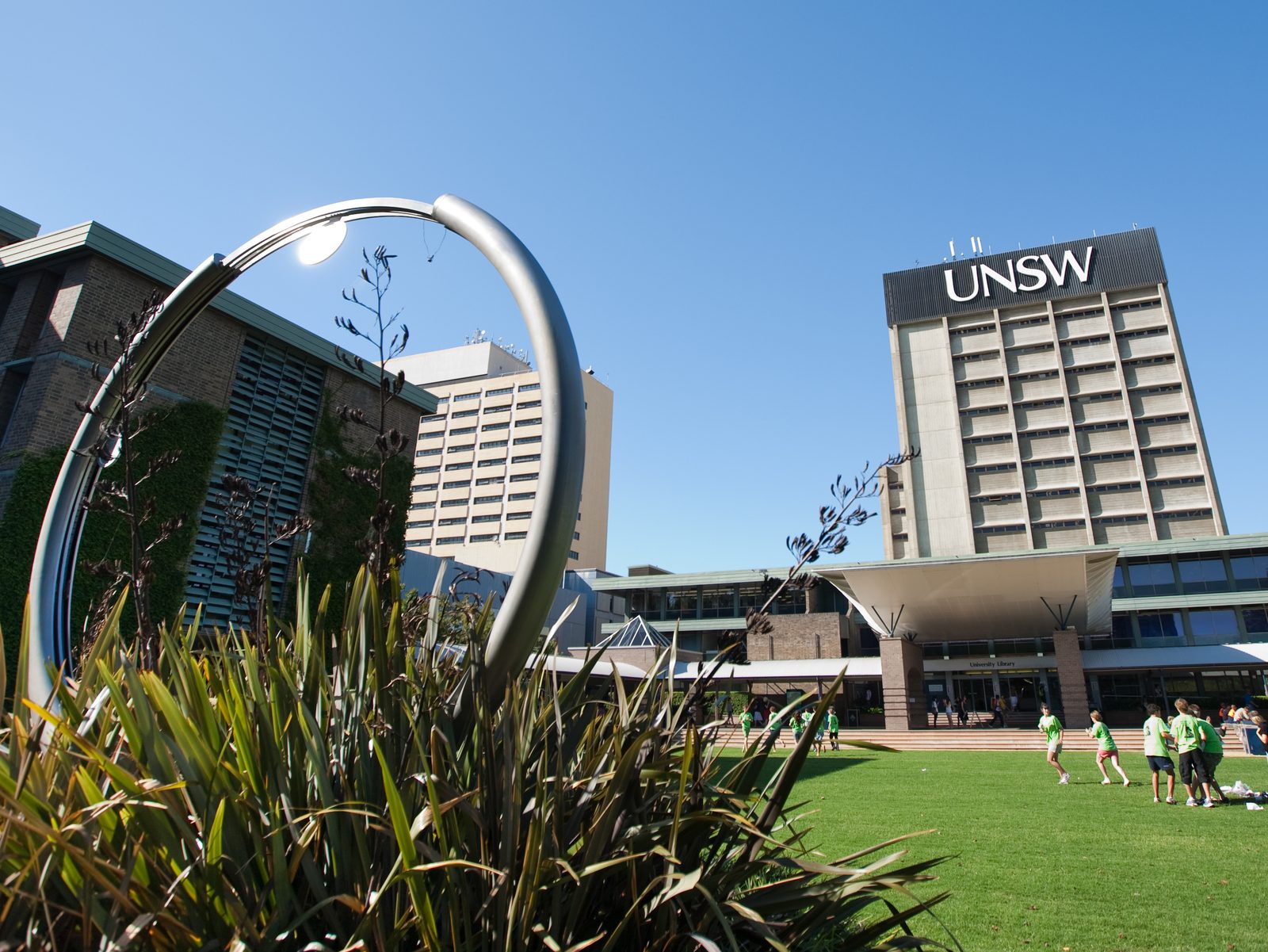 Library lawn at UNSW Sydney