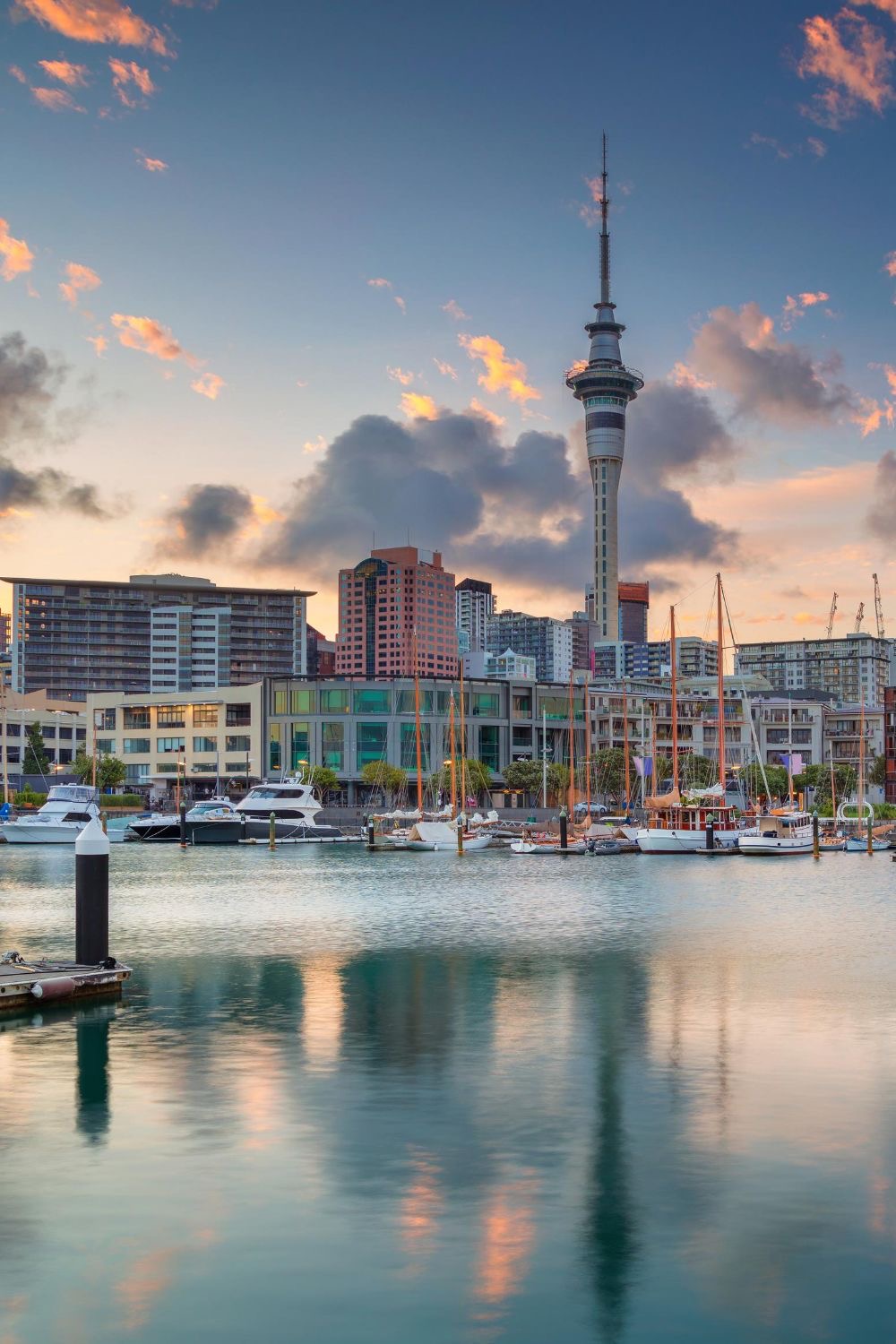 New Zealand — study destination